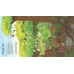 Книга з віконечками Look inside the jungle, Usborne