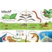 Книга з віконечками Lift-the-flap questions and answers about animals, Usborne