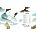 Книга Big picture book dinosaurs, Usborne